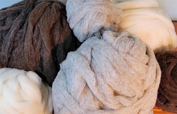 Dyed Wool