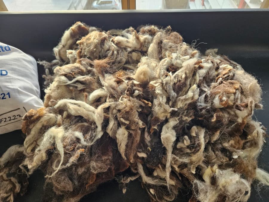 Natural Wool