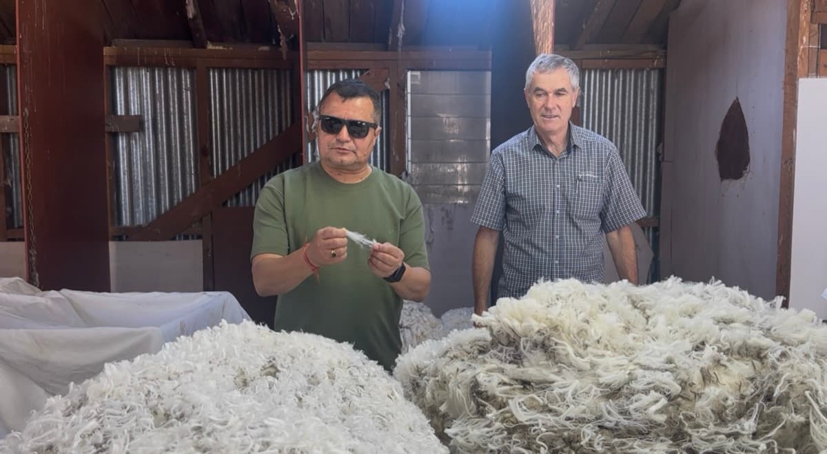 Wool Inspection at Source